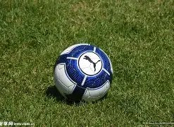 激情对决,开塞利体育,主场誓卫荣,开云体育,开云体育官网,开云体育app,开云体育app下载